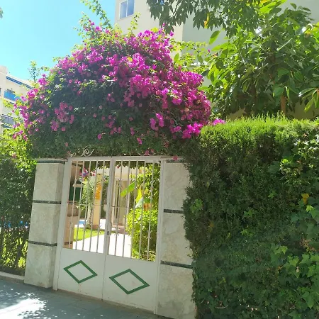 Apartment Lets In The Sun Playa Fontanilla Marbella